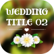 Wedding title V.02 - VideoHive Item for Sale
