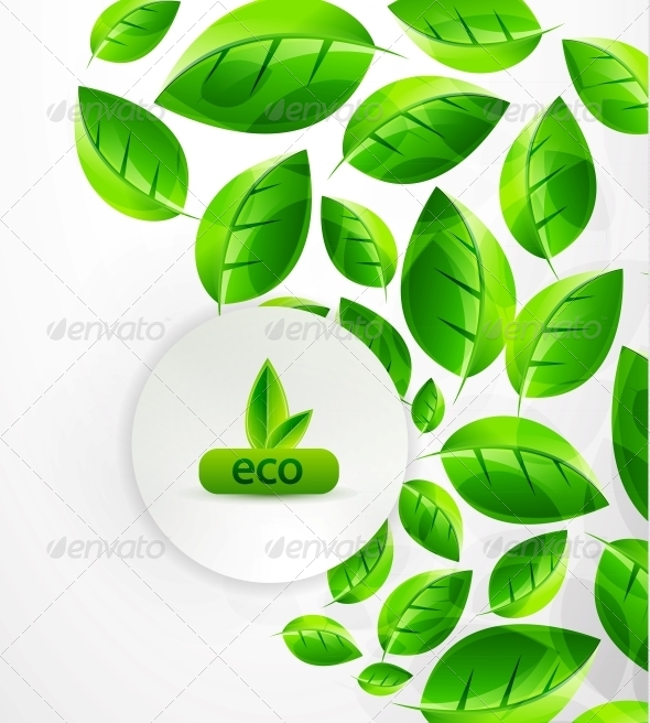 Green Nature Background - Backgrounds Decorative