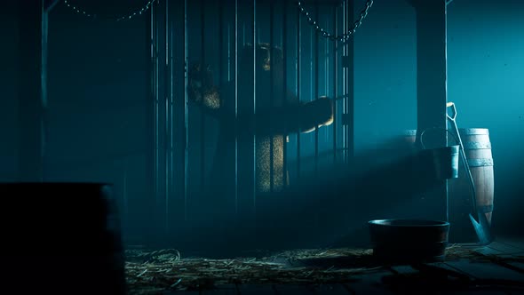 A large brown fluffy bear trapped in a metal cage. Wild animal in captivity. 4K alt