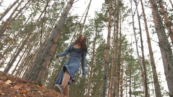 Walk in Pine Forest