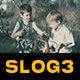 Slog3 Vintage Films and Standard Color LUTs