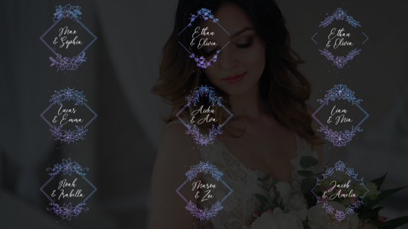 Wedding Titles - Diamond Frames