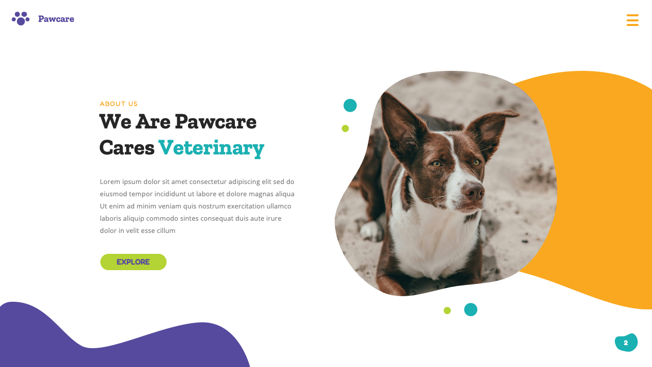 Pawcare - Pet Care & Veterinary Google Slides Template, Presentation ...