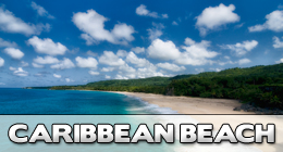 CARIBBEAN BEACH