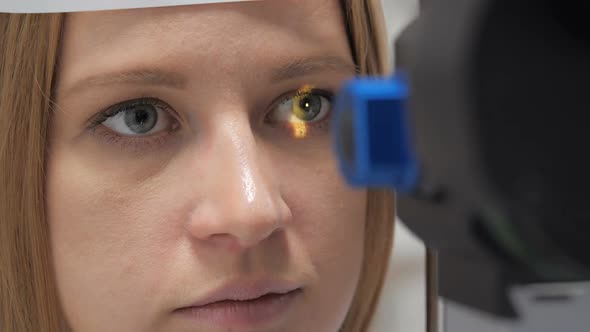 The Doctor Directs a Beam of Light Into the Patient's Eye To Diagnose Eye Health alt