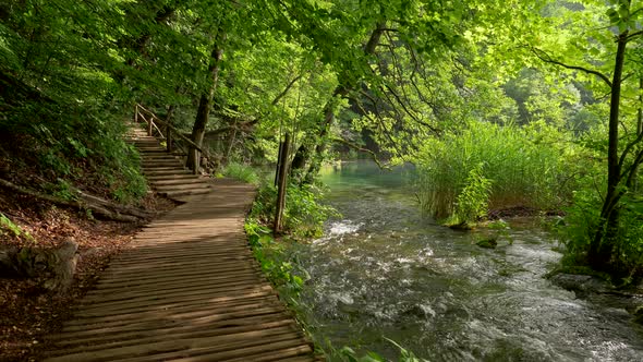 Walking the Wooden Boardwalk in Summer Park, Crystal Clear Water in River Running Fast, Steadicam alt