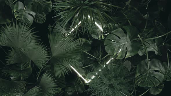 Rotated Square Neon Light Covered With Tropical Leaves