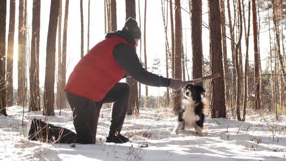 Dog Playing with Male Owner in Woods alt
