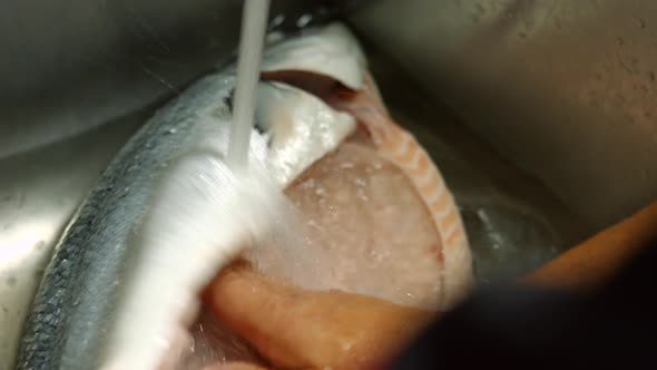 Man's Hands Wash Big Fish. alt