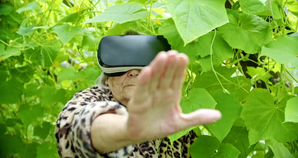 Senior Woman Among the Leaves Looking at Her Garden with an Augmented Reality Helmet alt