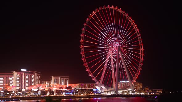 Beautiful Dubai Eye or Ain Dubai Ferris Wheel on the Jumeirah Beach Illuminated at Night alt