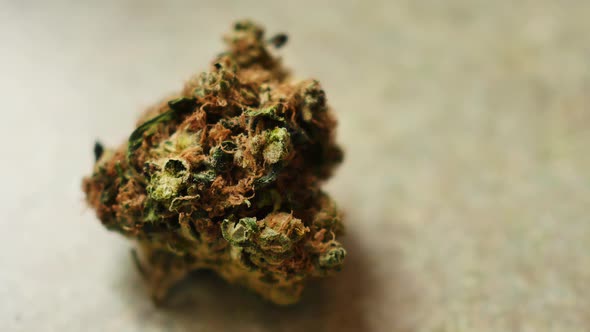 Cannabis bud close-up alt