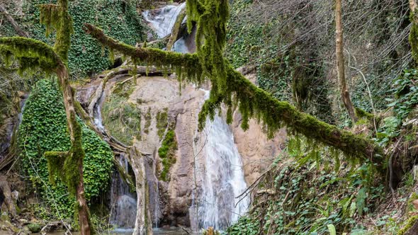 Waterfall in the forest. Moss on stones, green plants around.