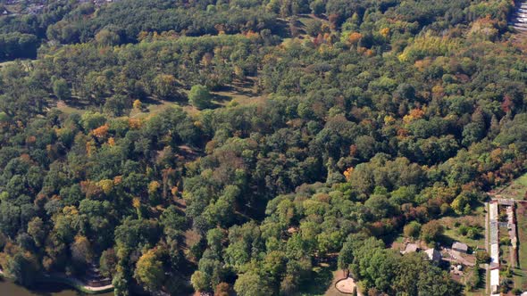 Beautiful flight above the trees. Autumn forest.