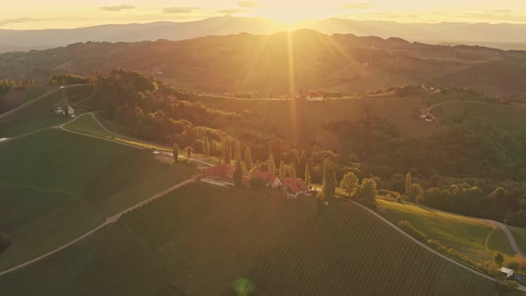 Aerial View of Vineyard Hills in South Styria, Tuscany Like Landscape. Sunset with Clear Sky, Summer