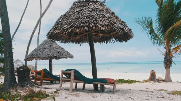 Tropical Deck Chairs Under Thatched Umbrellas at Sandy Beach By Ocean Zanzibar alt