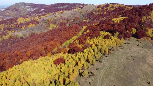 Aerial drone of autumn day with beautiful vibrant colorful leaves in the trees. Meditation.
