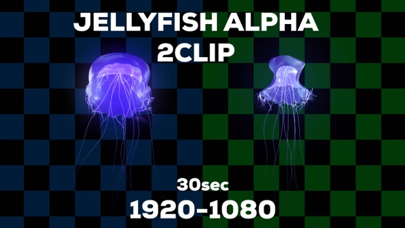 Jelly Alpha 2Clip
