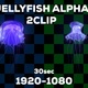 Jelly Alpha 2Clip - VideoHive Item for Sale
