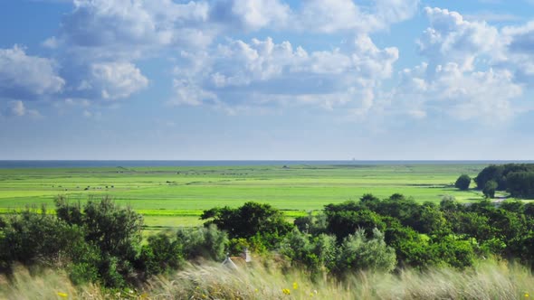 organic farming Dutch island Terschelling Boschplaat Oosterend grassland ZOOM OUT alt