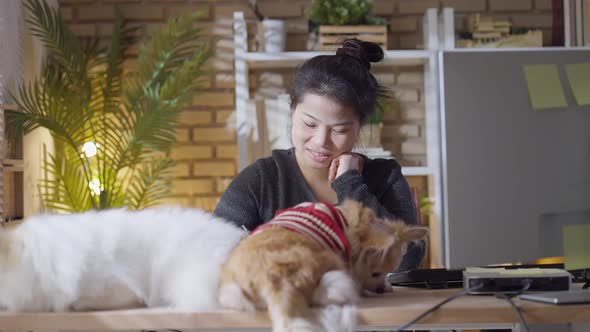 asian female stay with little cute lapdog playing around on working desk
