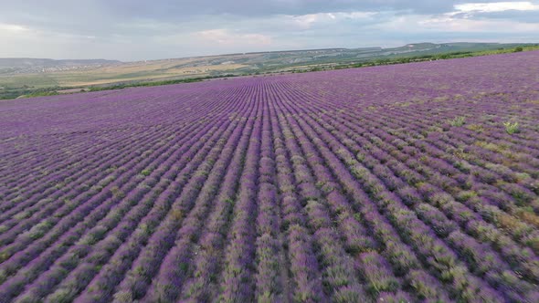 Aerial Nature Landscape Video