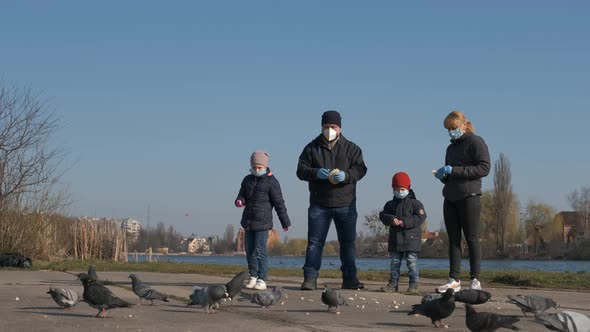Mom dad son and daughter in medical masks feed pigeons in a Park on the lake.