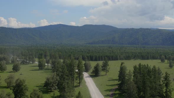Green forest and mountains far away in Altai