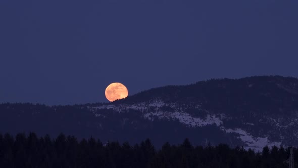 Moonrise Over Wooded Hills in Winter