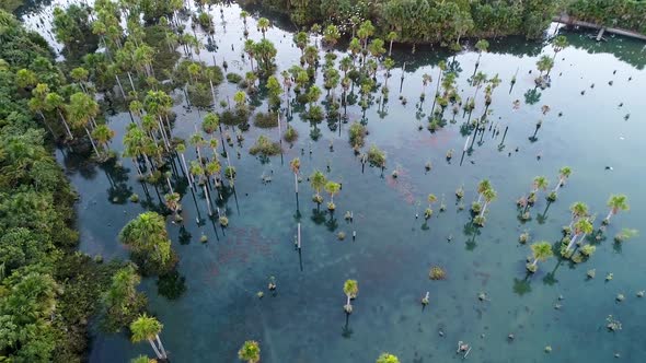 Macaws Lake tourism landmark at Nobres Mato Grosso Brazil. Touristic point. alt
