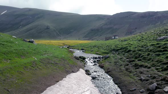 Green plateau among snowy mountains