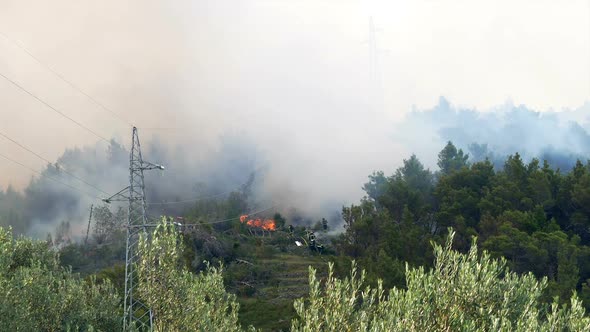 Firefighters Fighting Against Forest Fire