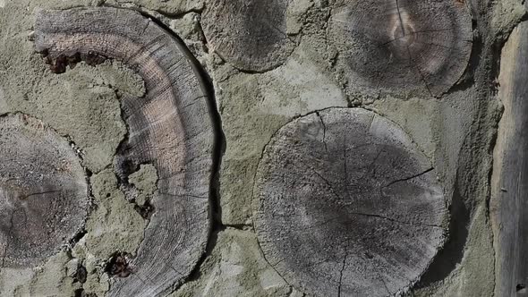 Off Grid Mini Houses in the Forest alt