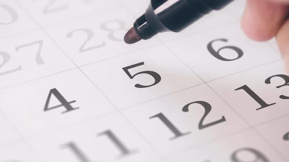 Fifth Day of a Month Transforms Into SAVE THE DATE Text alt