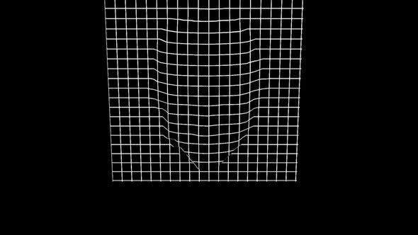 Grid  Human Head alt