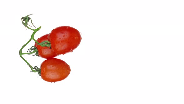 Tasty Ripe Tomatoes with Water Drops on Green Branch alt