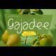 Gajadee - A Funny Handwritten Typeface