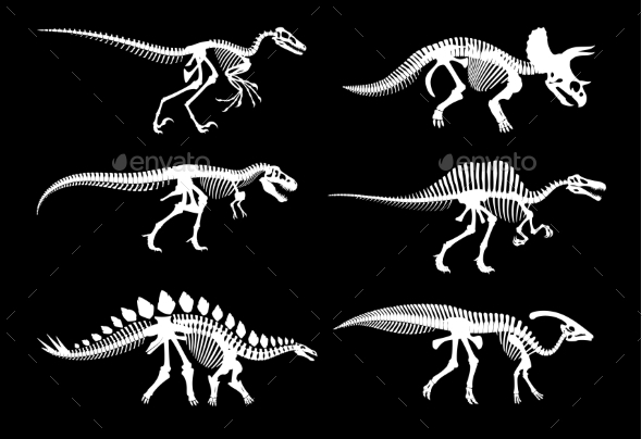 Dinosaur Fossil Skeletons and Jurassic Dino Bones