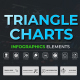 Infographic - Triangle Charts - VideoHive Item for Sale
