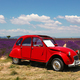 Old vintage red car parked near lavender field - PhotoDune Item for Sale