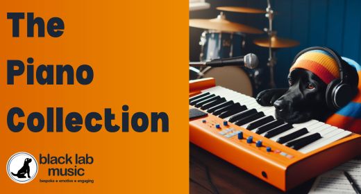 The Piano Collection