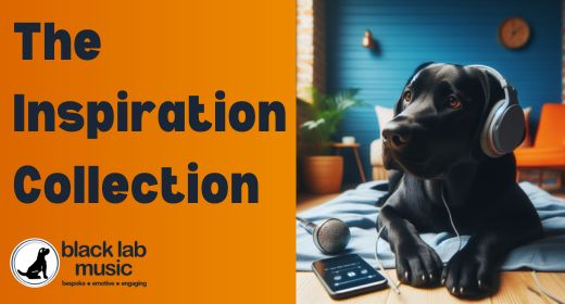 The Inspiration Collection