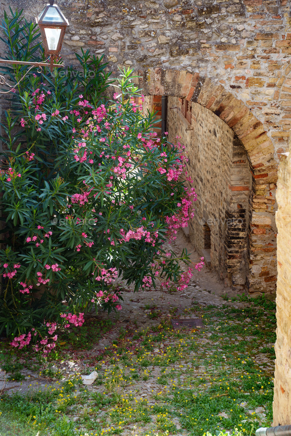 Historic buildings of Montefalco, Umbria, Italy Stock Photo by clodio