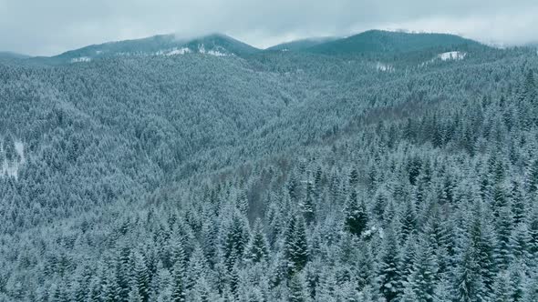 Forest Mountains Snow Cold Winter Wood Hill Frozen Travel Nature alt