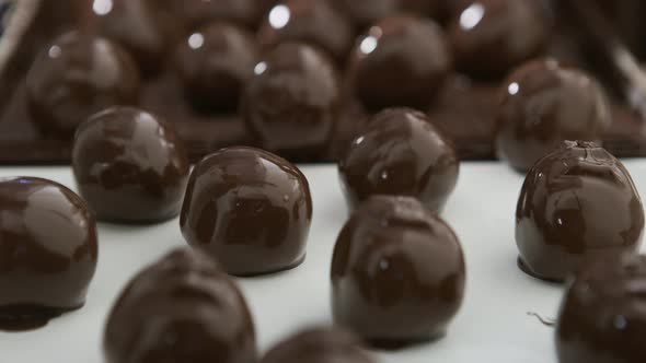 Chocolate truffles on a conveyor belt at candy factory