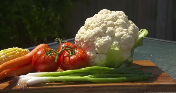Pan across a colorful display of freshly washed, ripe vegetables in the sunlight alt