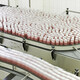 Rows of bottles on a conveyor belt in a bottling factory. - PhotoDune Item for Sale