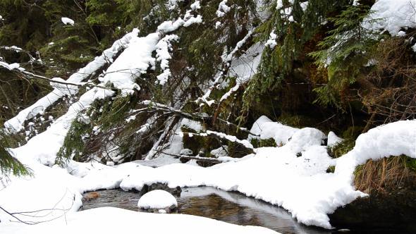 Snowy River In Forest 2