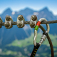 Swiss Alps Mountaineering - PhotoDune Item for Sale