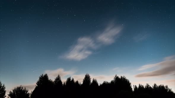 Starry Night Time-lapse. Clear Sky, Cloudy Sky. Night Silhouette Tree Line